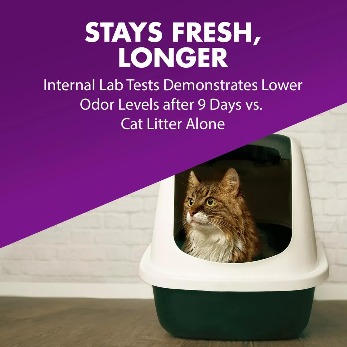 Arm & Hammer cat litter powder next to a clean litter pan on a neutral background.