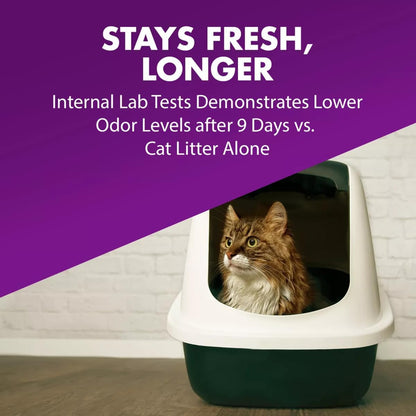Arm & Hammer cat litter powder next to a clean litter pan on a neutral background.