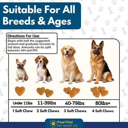 Imported USA pet health product for dog skin health and allergy relief.