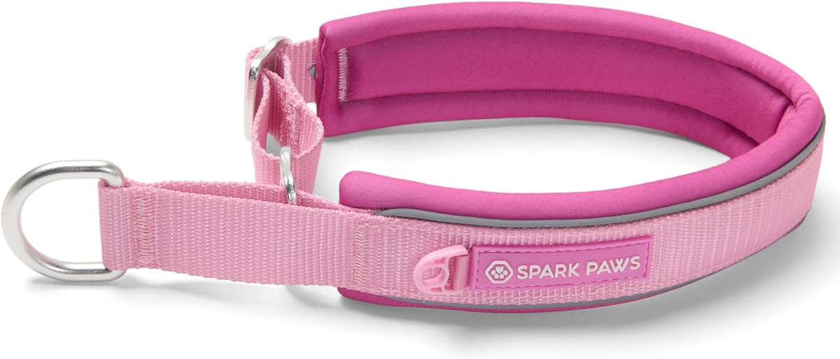 Spark Paws Martingale Dog Collar - Cushioned Slip-On Training Collar, Heavy Duty, Safety-Tested No-Buckle Collar for Medium & Large Dogs - 90s Retro - C - Image 14