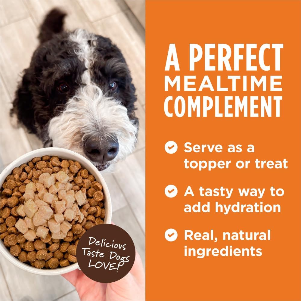 Instinct Healthy Cravings lamb recipe dog food pouch
