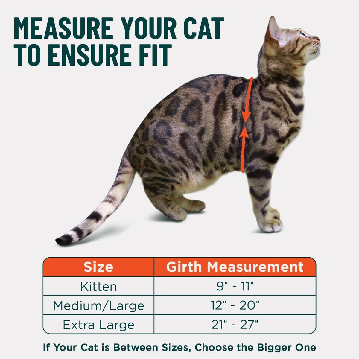 Houdini(TM) Escape Proof Cat Harness and Leash (Black, M/L) - Image 4