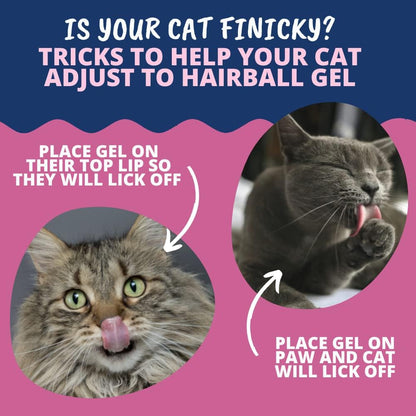 Premium adult feline health supplement for smooth hairball passage