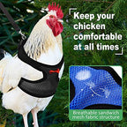 Adhafera adjustable chicken walking set layout