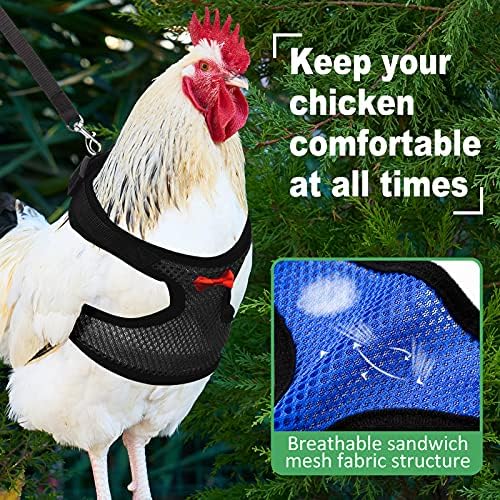 Adhafera adjustable chicken walking set layout