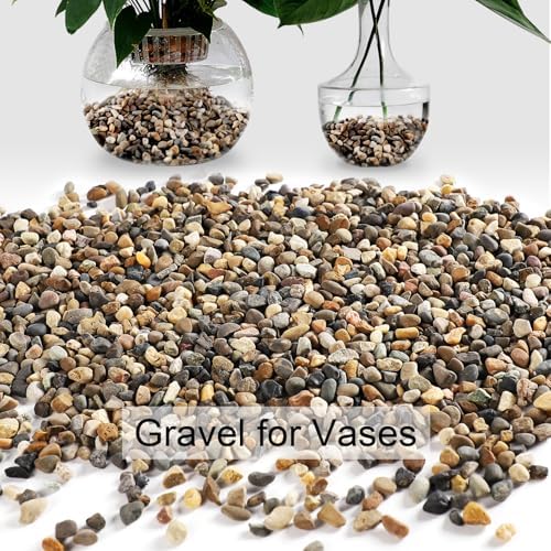 Lmtonble decorative sand used in a succulent garden pot