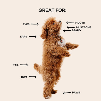 Ergonomic birch wood pet comb by Pupwell designed for delicate facial grooming.