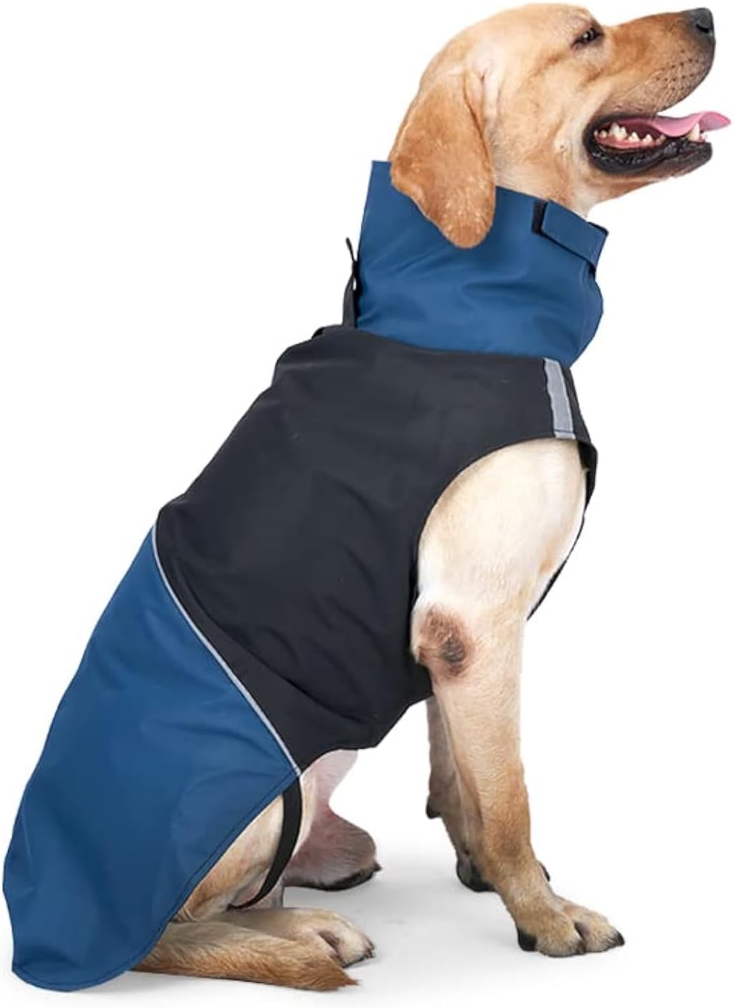 ODSSDAPU 3XL pet jacket on a large dog tracking outdoors in rainy conditions.
