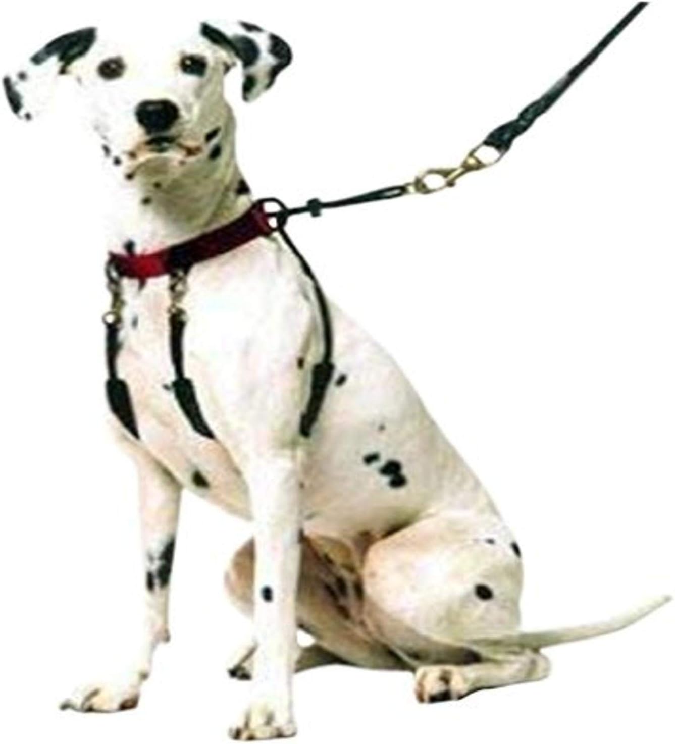 Sporn Head Halter for Dogs, No Pull Dog Harness, Durable Nylon Training Collar for Large Breeds, No Choke Design, Padded Restraints, Adjustable Fit, Easy On/Off, Black, Large - Image 9