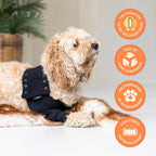 Washable stretch fabric veterinary sleeve for dog wounds