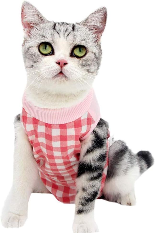 Cat Recovery Suit for Abdominal Wounds or Skin Diseases, Cat Onesie for Cats After Surgery Female Kitten Recovery Suit, Breathable E-Collar Alternative for Cats After Spay Anti Licking Wounds - Image 15