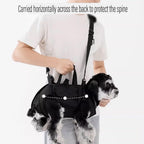Adjustable black cat walking sling and carrier
