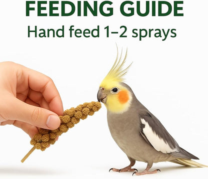 Birds LOVE 5 lbs spray millet natural sun-dried texture