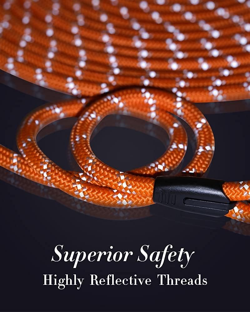 Hands free tie out configuration using the dual clip long dog lead.