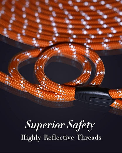 Hands free tie out configuration using the dual clip long dog lead.