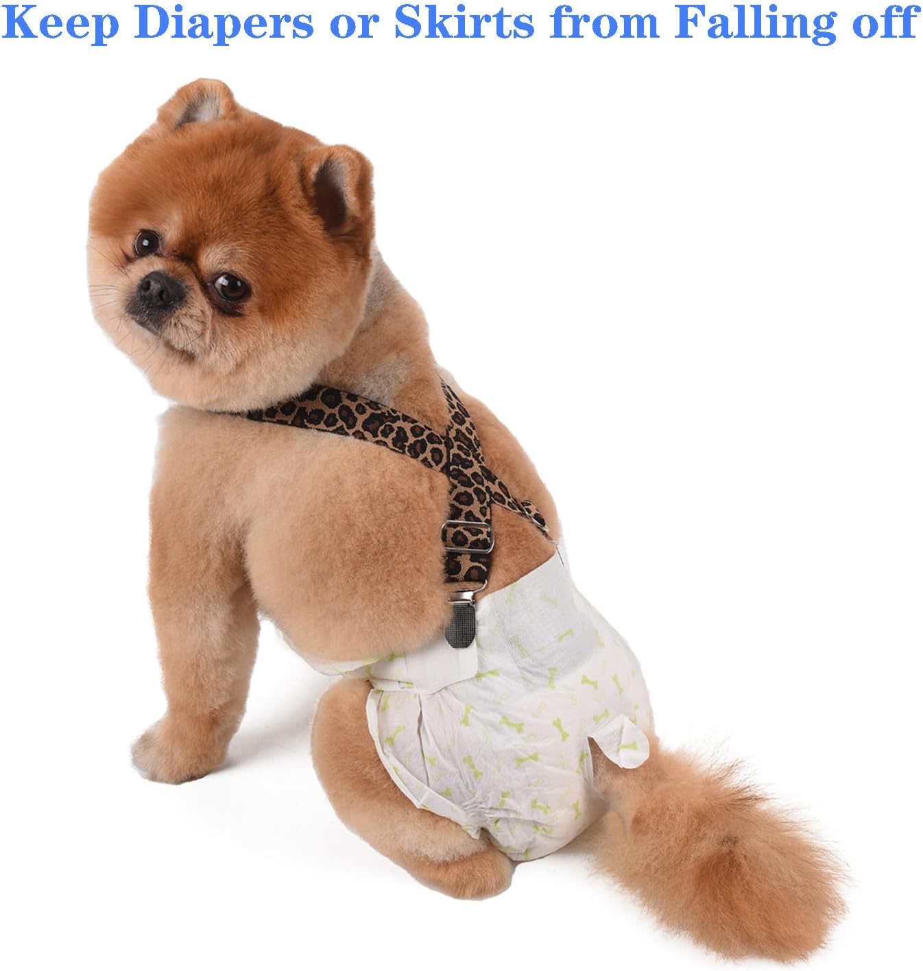 Medium size pet diaper keeper straps with dual metal buckles for small dogs