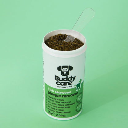 Natural Irish seaweed powder container for premium pet dental hygiene.