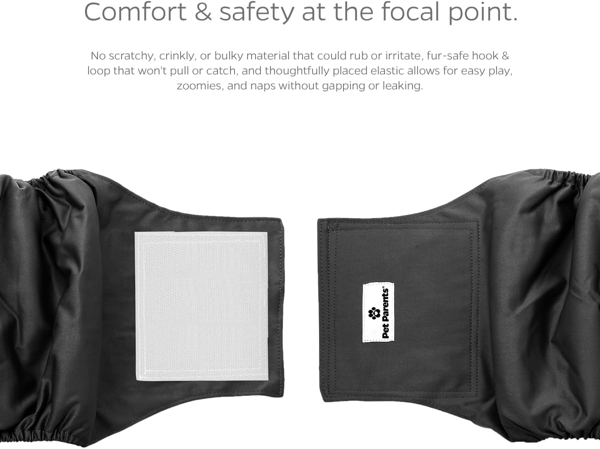 Two pack of Pet Parents male dog diapers neatly folded next to the Extendrs packaging