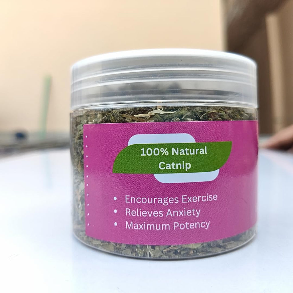 Airtight container of imported safe cat training herb