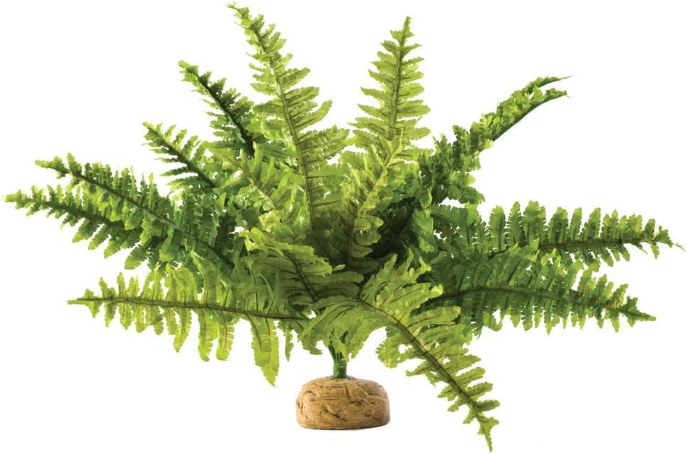 Exo Terra Boston Fern Terrarium Plant medium size realistic green reptile habitat decor