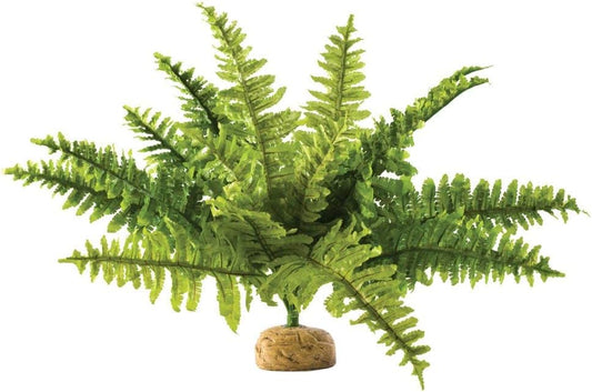 Exo Terra Boston Fern Terrarium Plant medium size realistic green reptile habitat decor