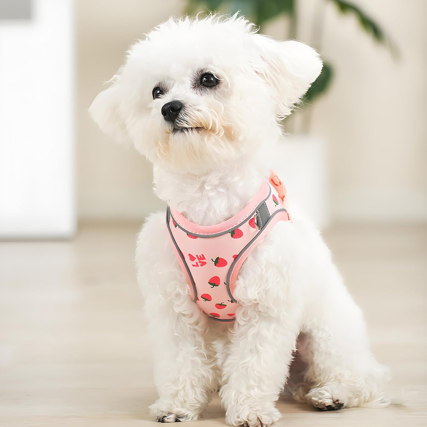 Flymind reflective pet vest harness showing three hundred sixty degree visibility strips in dark.
