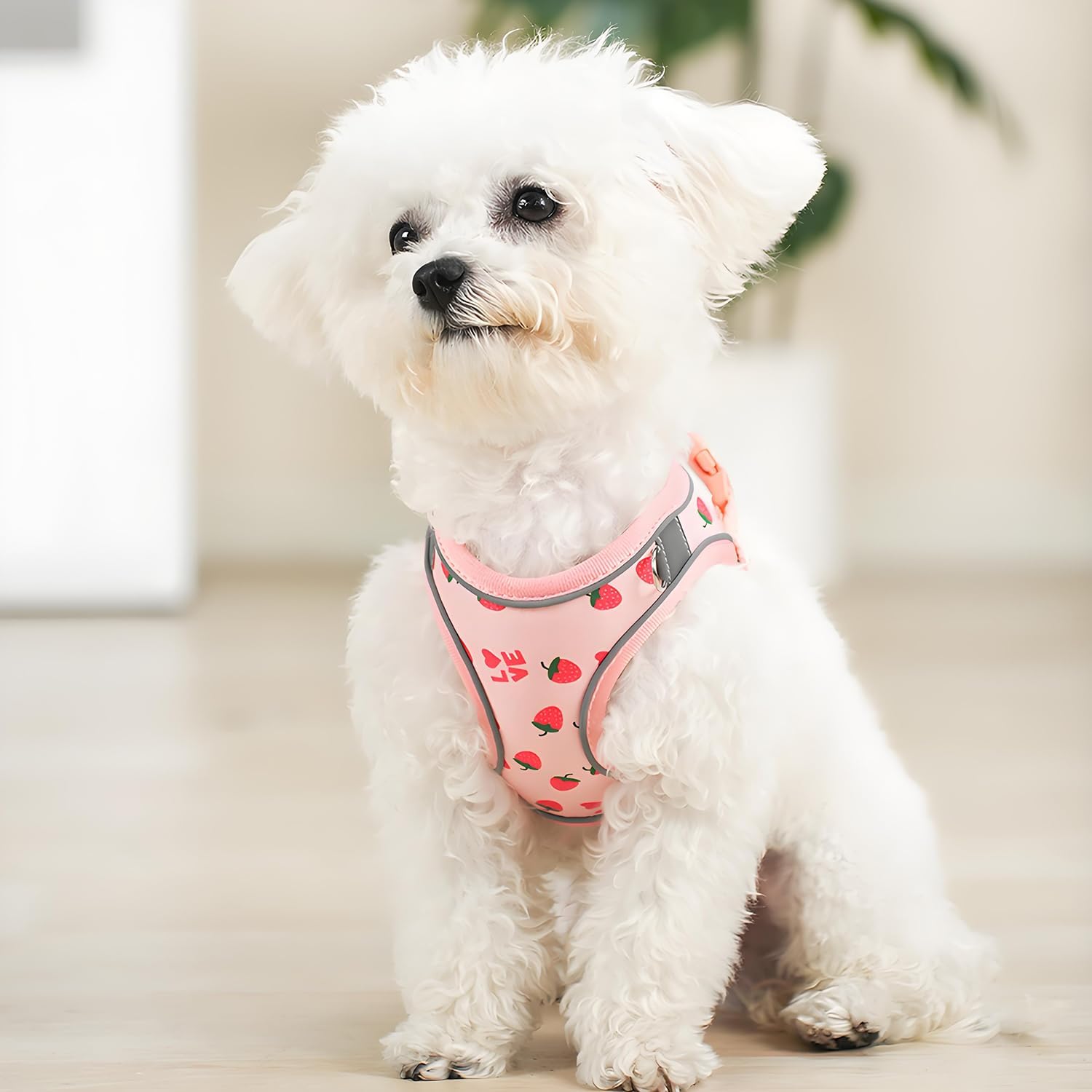 Flymind reflective pet vest harness showing three hundred sixty degree visibility strips in dark.