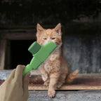 Two piece cat and dog grooming set with green accents