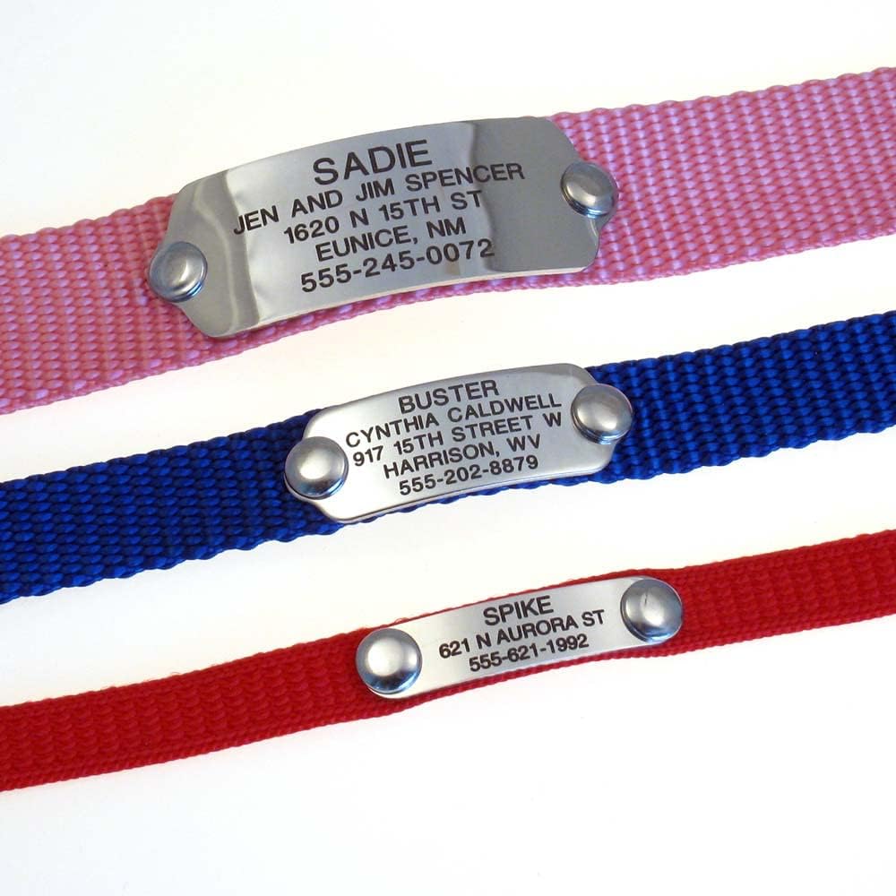 LuckyPet silent custom engraved dog tag attached flat to a collar