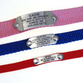 LuckyPet silent custom engraved dog tag attached flat to a collar