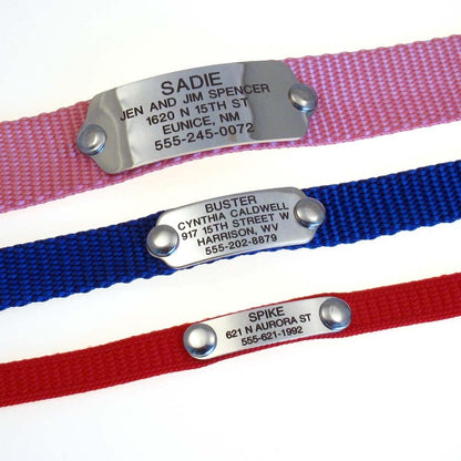 LuckyPet silent custom engraved dog tag attached flat to a collar
