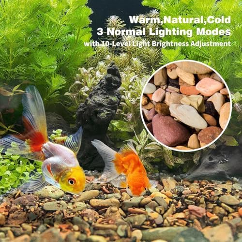 Wdefun gravel used as aquarium substrate