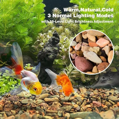 Wdefun gravel used as aquarium substrate