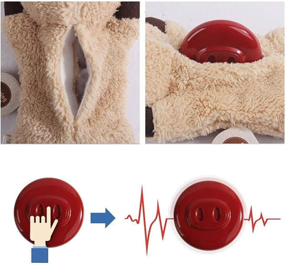 All For Paws kitten comforting plush toy positioned inside a luxury indoor pet bed setup.
