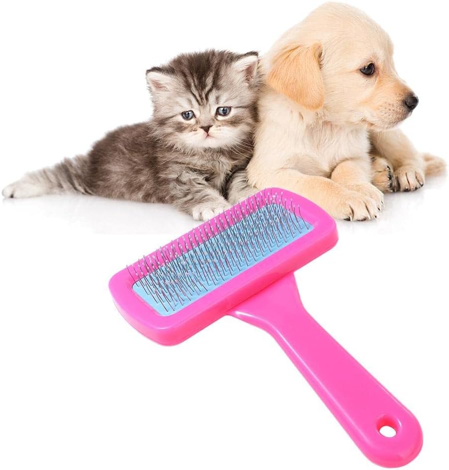 OEM small pet grooming brush showing stainless steel needles for deshedding