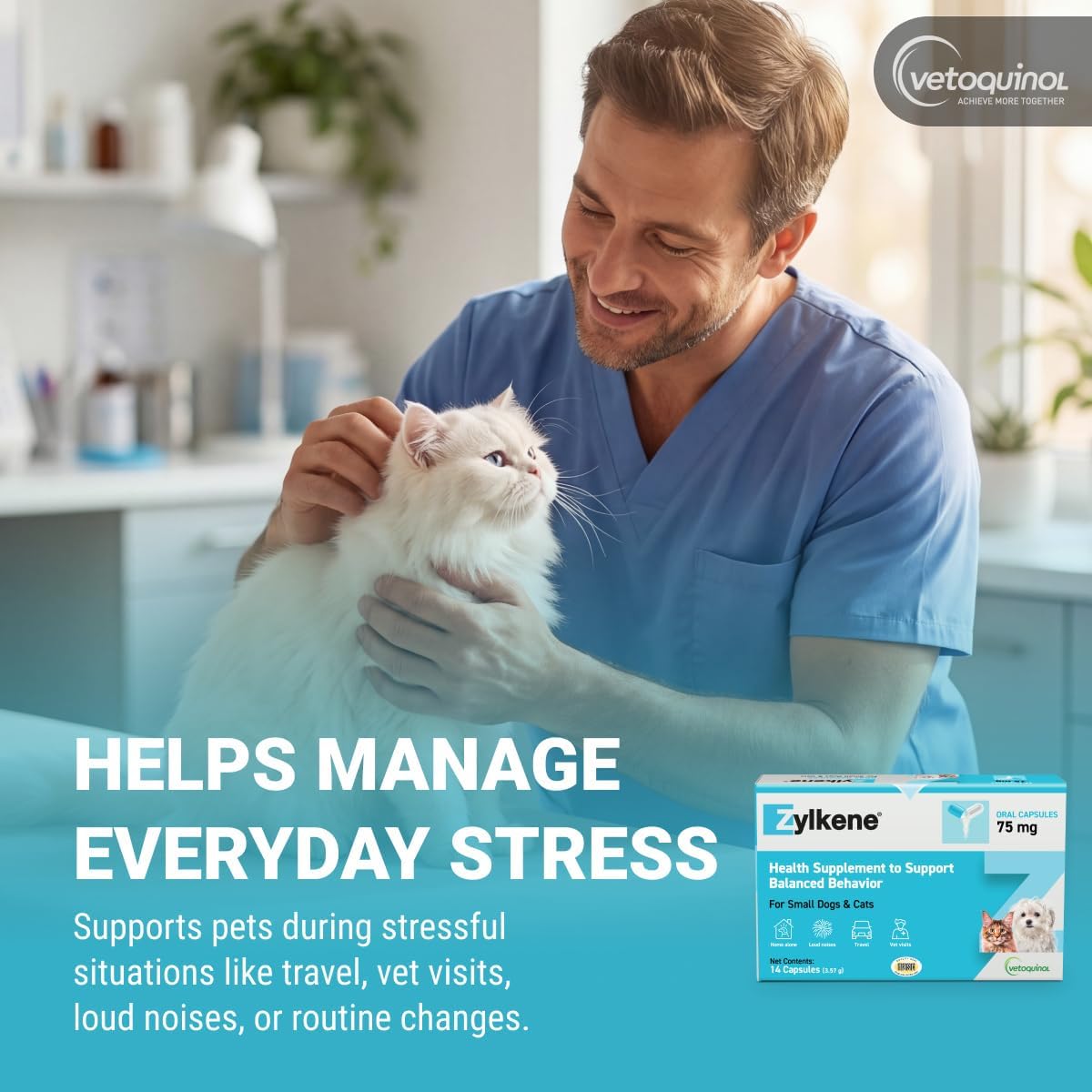 Vetoquinol Zylkene lactose-free natural milk protein capsule being opened to mix with cat food