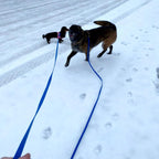 ZALER Long Dog Leash Waterproof Training Leashes 50ft 30ft 20ft 15ft 10ft 6ft, Odor Proof Recall Long Line Lead with Aviation Aluminum Carabiner Clip for Small, Medium, Large Dogs(20FT, Forest Green) - Image 9