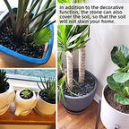 Black river rocks used as decorative soil topper for succulent plants