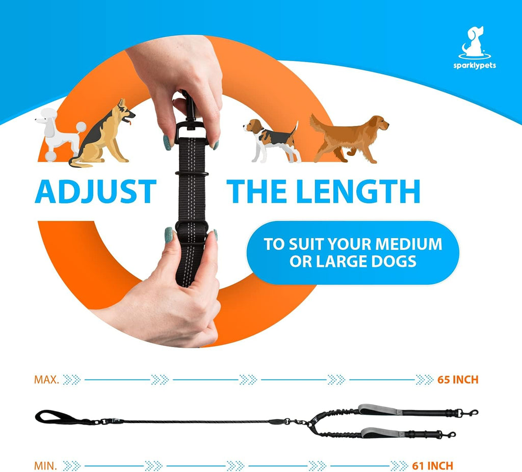 SparklyPets dual canine leash system including the black storage bag and reflective nylon stitching