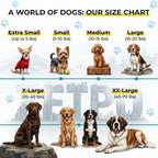Zetpo dog claw covers kit with adhesive and applicator tools