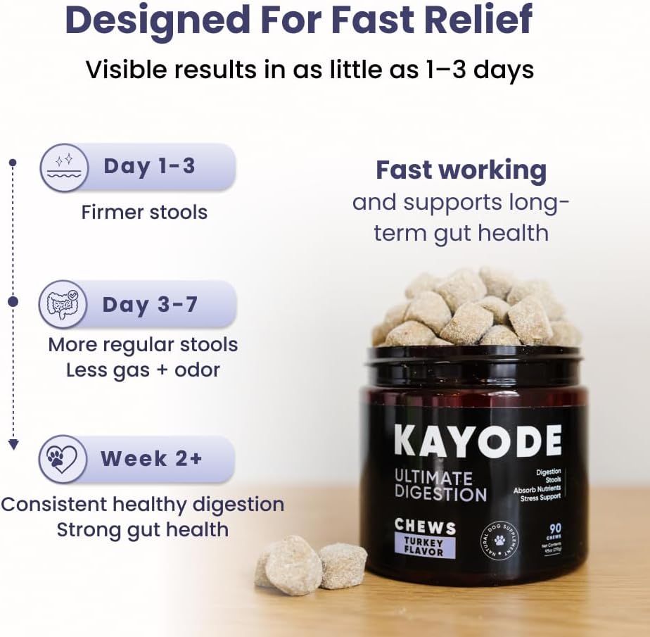 Kayode Ultimate Digestion 90 count tub and chews