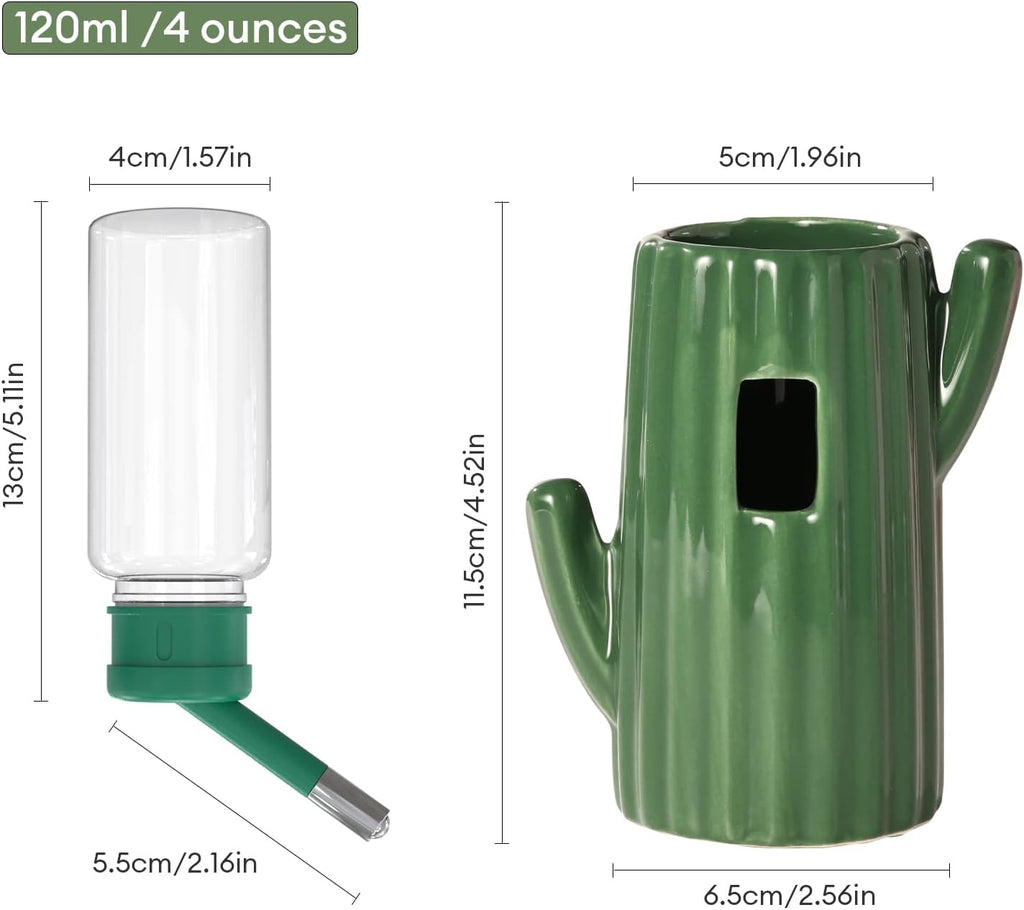 Bucatstate green cactus small animal water feeder angled view