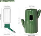 Bucatstate green cactus small animal water feeder angled view