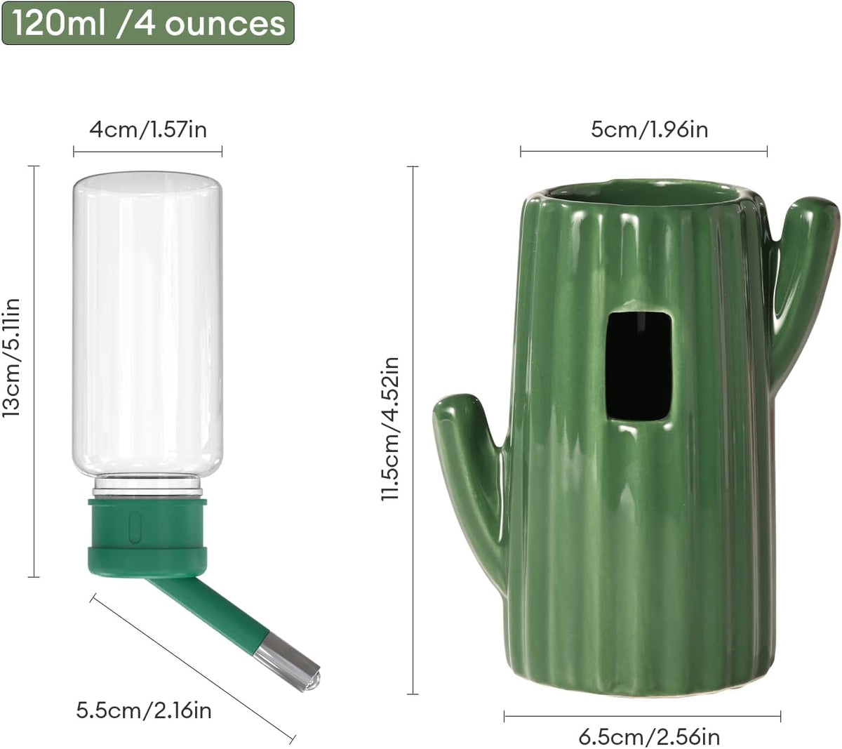 Bucatstate green cactus small animal water feeder angled view