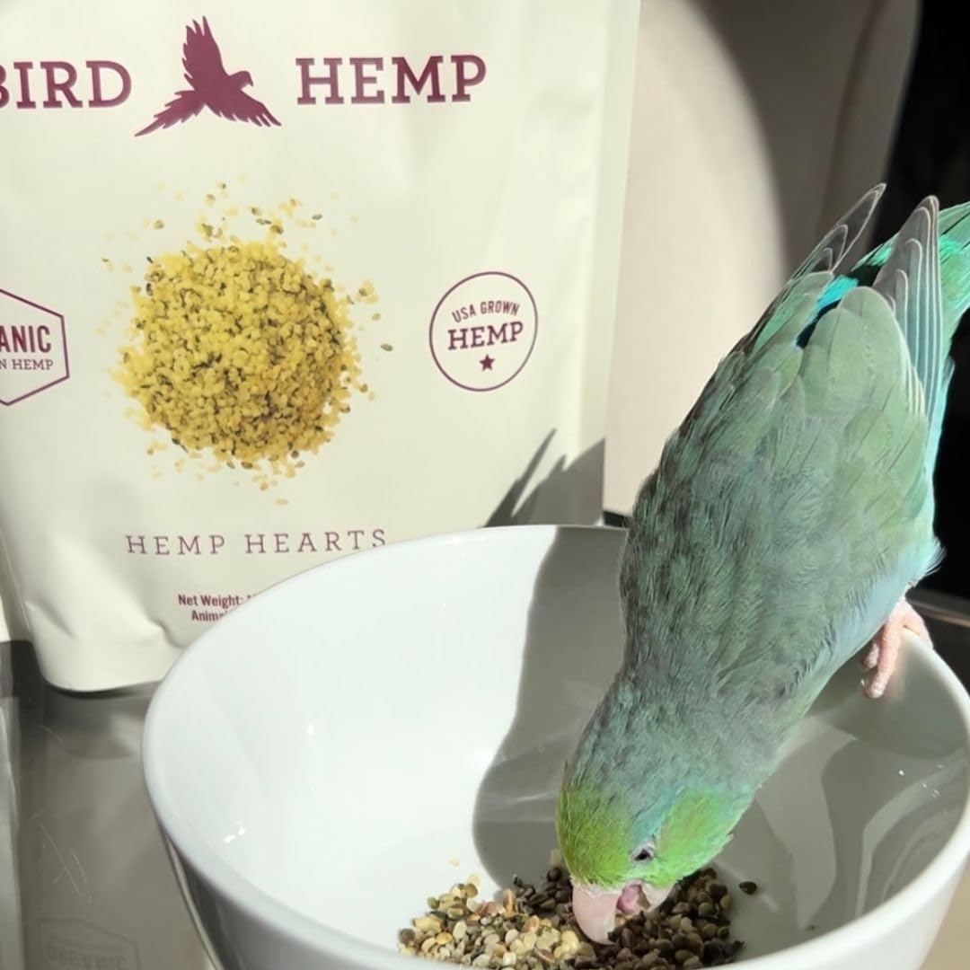 Hemp Well avian premium food topping close up of organic hemp hearts and shells mixture