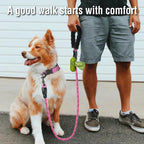COOYOO nylon climbing rope pet lead with highly reflective threads for night walking safety.