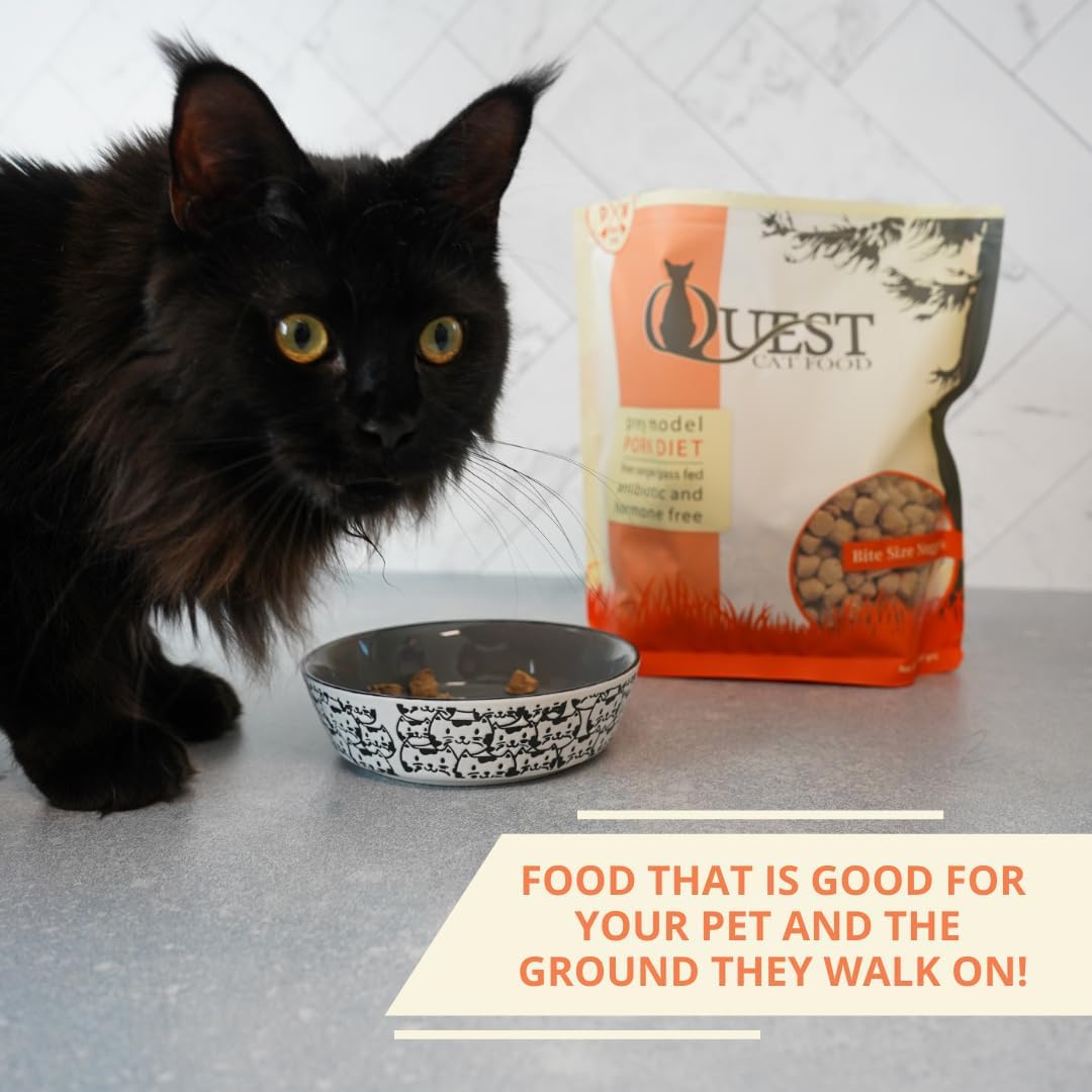 Quest premium raw pork recipe for cats feeding instructions details