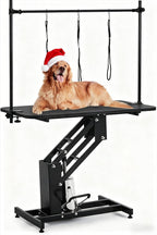 Complete heavy duty pet grooming setup with hydraulic pump base