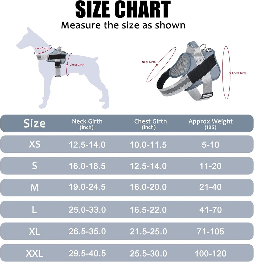 Bolux dog harness top handle and leash attachment