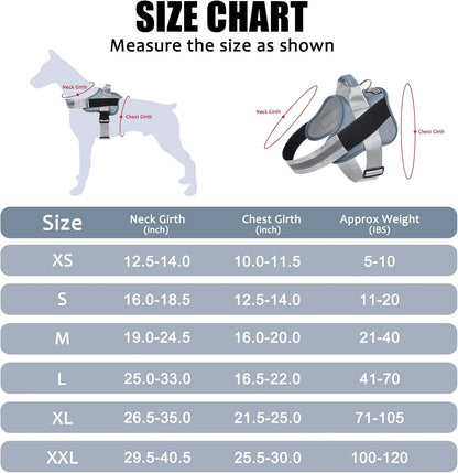 Bolux dog harness top handle and leash attachment